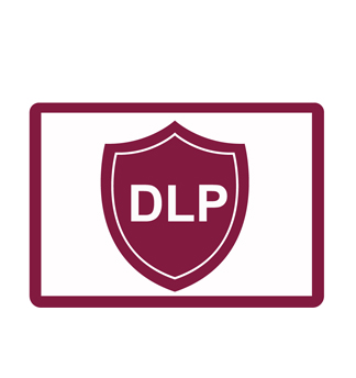DLP-системы