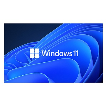 Microsoft Windows Professional 11